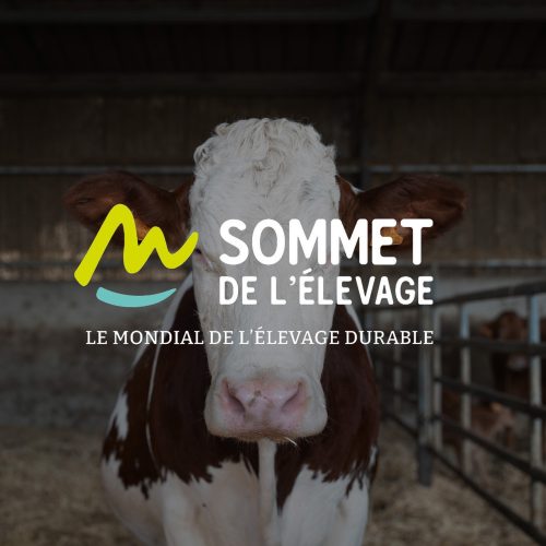 événement-sommet de l'élevage Auvergne Clermont-fd photo d'une vache avec le logo sommet de l'élevage
