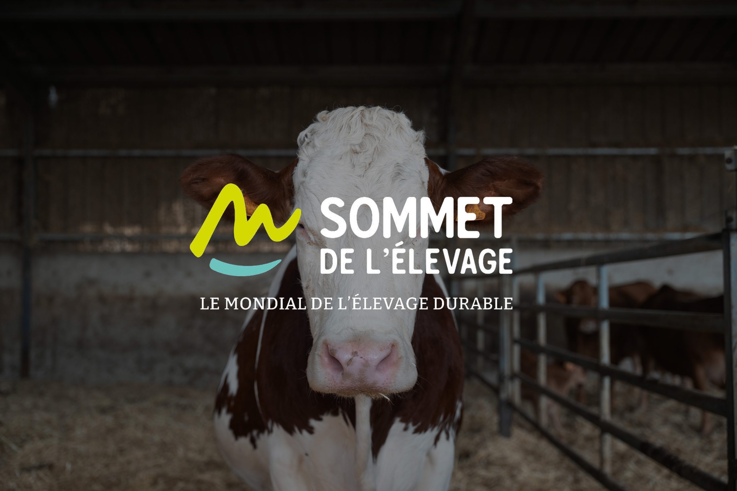 événement-sommet de l'élevage Auvergne Clermont-fd photo d'une vache avec le logo sommet de l'élevage
